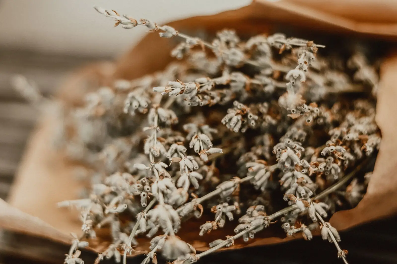 Dried botanicals gathered in bunches, hung to keep their scent
